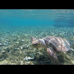 Meet your Posher, John